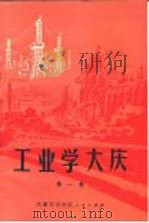 工业学大庆 第1辑 1972 PDF电子版封面 内蒙古自治区革命委员会生产建设指挥部编