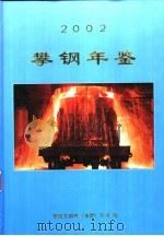 攀钢年鉴  2002（ PDF版）