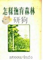 怎样抚育森林 1956 PDF电子版封面 T16118·20 四川省林业厅,四川省科学技术普及协会编