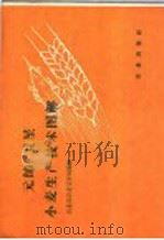 元帅·卫星小麦生产技术图解 1958 PDF电子版封面 16144·376 农业部农业宣传局编绘