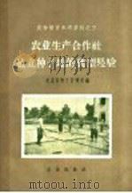 农业生产合作社建立种子地的典型经验 1957 PDF电子版封面 16144·175 中华人民共和国农业部种子管理局编
