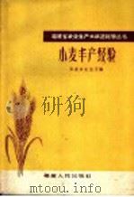 小麦丰产经验 1959 PDF电子版封面 T16104·155 福建省农业厅编