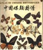 中国蝶类图谱 1992 PDF电子版封面 7805148201 李传隆,朱宝云著