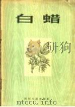 白蜡 1956 PDF电子版封面 T16118·44 四川省林业厅编