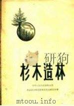 杉木造林 1958 PDF电子版封面 16046·465 中华人民共和国林业部,林业科学研究所林木生态研究室著