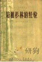 培植杉林的经验 1958 PDF电子版封面 T16115·135 贵州省林业厅编