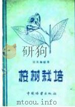 桉树栽培（1960 PDF版）