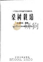 桑树栽培（1959 PDF版）