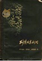 砂荒及其利用 1958 PDF电子版封面 16046·361 (苏)伊万诺夫(В.Н.Иванов)等著;赵兴梁等译