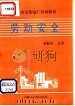 现代化火力发电厂培训教材 劳动安全 1991 PDF电子版封面 7204024532 梁殿臣主译