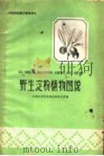 野生淀粉植物图说 1962 PDF电子版封面 16111·132 中国科学院华南植物研究所编