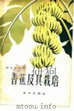 香蕉及其栽培 1960 PDF电子版封面 16144·796 林日荣编著
