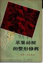 苹果幼树的整形修剪（1956 PDF版）
