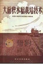 大面积水稻栽培技术（1958 PDF版）