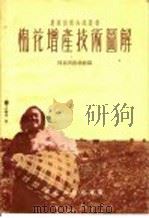 棉花增产技术图解 1955 PDF电子版封面 河北省农林厅编