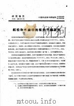 研究报告  代号：森  60  36  红松和水曲柳的板材干缩研究（ PDF版）