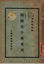 耶稣是什么东西   1929  PDF电子版封面    朱执信著 