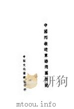 中国回教近东访问团日记 1943 PDF电子版封面 中国回教近东访问团编