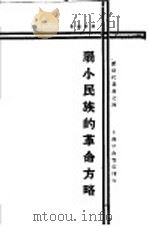 弱小民族的革命方略 1929 PDF电子版封面 柳絮著