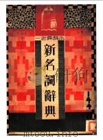 新名词辞典（1934 PDF版）