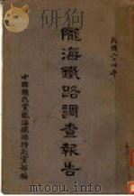 陇海铁路调查报告（1936 PDF版）