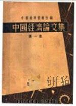中国经济论文集 第1集 1934 PDF电子版封面 中国经济情报社编
