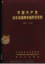 中国共产党山东省淄博市组织史资料 1924-1987 1989 PDF电子版封面 7800820122 中共淄博市委组织部,中共淄博市委党史资料征集研究委员会,淄博