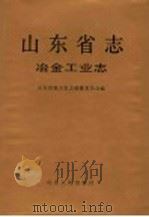 山东省志 第32卷 冶金工业志 1998 PDF电子版封面 7209022430 山东省地方史志编纂委员会