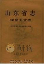 山东省志 第38卷 煤炭工业志 下 1997 PDF电子版封面 7209020748 山东省地方史志编纂委员会
