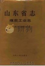 山东省志 第38卷 煤炭工业志 上 1997 PDF电子版封面 7209020748 山东省地方史志编纂委员会