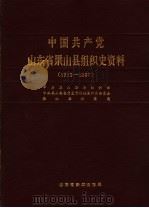 中国共产党山东省梁山县组织史资料 1933-1987 1989 PDF电子版封面 中共梁山县委组织部,中共梁山县委党史资料征集研究委员会,梁山