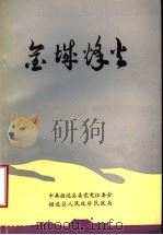 金城烽火 1990 PDF电子版封面 中共招远县委党史征委会,招远县人民政府民政局编