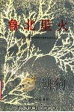 鲁北星火   1992  PDF电子版封面  7209010238  中共德州地委党史资料征集研究委员会编 