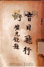 盲目飞行术（ PDF版）