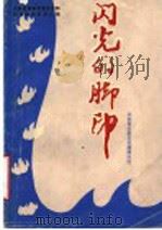 闪光的脚印 1987 PDF电子版封面 中共淄博市委党史资料征集研究委员会编;李继善,王连迪主编;牟