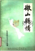 微山县情（ PDF版）