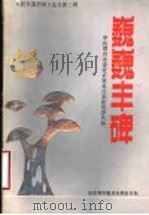 巍巍丰碑（1987 PDF版）