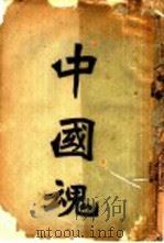 中国魂 1911 PDF电子版封面 饮冰室主人编辑