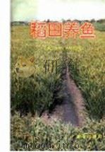 稻田养鱼 1993 PDF电子版封面 7800227081 汪名芳,薛镇宇编著