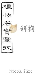 植物名实图考  卷之三十八（ PDF版）