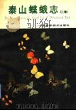 泰山蝶蛾志 上集 1990 PDF电子版封面 7533107055 卢秀新主编
