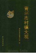 青州市村镇大观 1992 PDF电子版封面 7543608200 青州市史志编纂委员会编