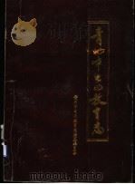 青州市电化教育志（ PDF版）