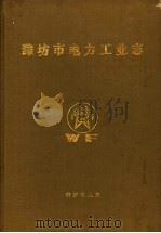 潍坊市电力工业志  1901-1985（1987 PDF版）