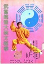 武当赵堡大架太极拳 1995 PDF电子版封面 753692397X 赵增福,赵超著