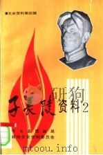 文史资料第4辑 子长陵资料 2 PDF电子版封面 子长县民政局,政协文史资料委员会