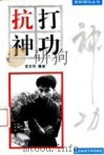 抗打神功 1996 PDF电子版封面 7810037757 邵发明编著