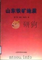 山东铁矿地质 1998 PDF电子版封面 7533120736 曾广湘等著