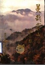 美哉蒙山  《蒙阴文史资料》蒙山专辑（1993 PDF版）