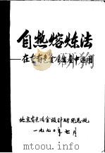 自热熔炼法：在重有色金属生产中运用（ PDF版）